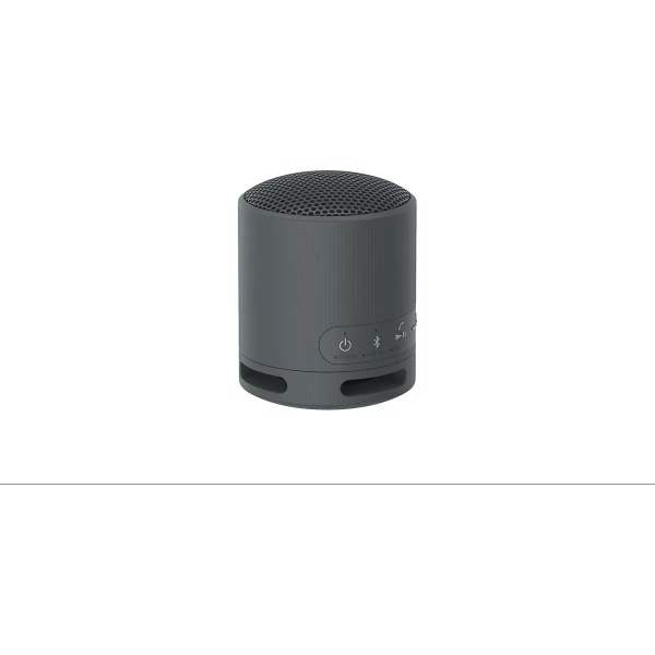 Sony SRS-XB100 — компактная